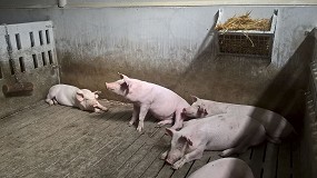 Foto de Las emisiones de amoniaco en los sectores porcino y avcola se redujeron el 16,7% entre 2005 y 2023