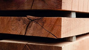 Foto de El vaco en el trabajo con madera (Parte 2)