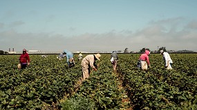 Foto de El desempleo en la agricultura cae un 3,92% en abril y acumula una bajada del 13% anual