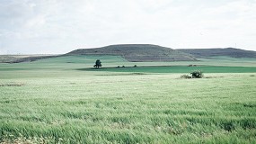 Foto de El Ministerio de Agricultura confirma la prrroga para presentar la PAC hasta el 31 de mayo
