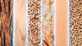 Foto de Ligna 2025 apuesta por soluciones inteligentes para una produccin sostenible