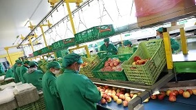 Foto de Beyra DOuro Fresh otimiza processos e refora controlo de produo com Sage X3