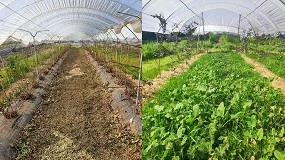 Foto de Introduciendo robótica móvil en invernaderos