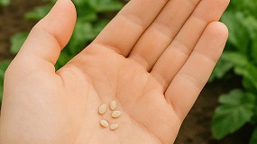 Foto de 12 de mayo: Da Internacional de la Sanidad Vegetal