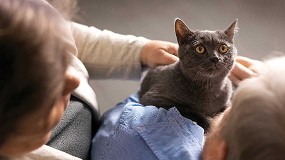 Foto de Casi el 80% de los catalanes considera que su empresa debera dar das libres por el fallecimiento de su mascota