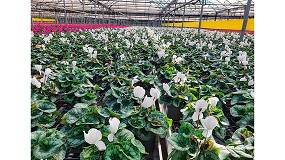 Foto de Gramoflor celebra la gran acogida del nuevo Cultivo Premium GX