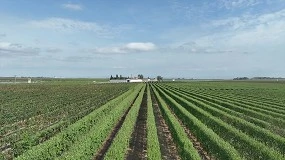 Foto de Agricultura de Precisión en almendro superintensivo: avances y retos