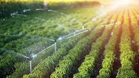 Foto de Transformando el regado espaol: Digitalizacin para la eficiencia y la sostenibilidad (II)