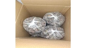 Foto de ASAE desmantela circuito ilegal de Moluscos Bivalves Vivos