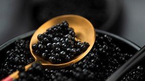 Foto de Mtodo pionero para optimizar la produccin de caviar mediante sexado temprano de esturiones