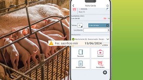 La inteligencia artificial aplicada en el ganado porcino: qu nos espera en el futuro?