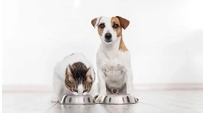 Foto de Nueve beneficios de la alimentación natural en perros y gatos