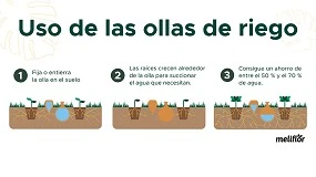 Foto de Ollas de riego: la solución inteligente para cuidar las plantas sin esfuerzo