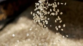 Fotografia de Ursa bate récords en reciclaje: más de 41.000 toneladas de material recuperado en sus procesos de producción en 2024