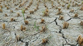 Salher desarrolla una ETAP a medida para obtener agua potable segura y de calidad para la localidad de Buenasbodas