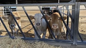 Foto de Bienestar animal y sostenibilidad en tiempos de cambio climático