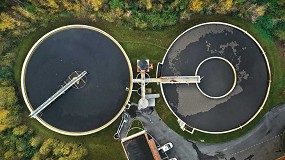 Foto de Aprender de la naturaleza para enfrentar el desafo climtico