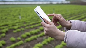 Foto de La juventud agraria cree que la viabilidad va ligada a la innovacin y las nuevas tecnologas