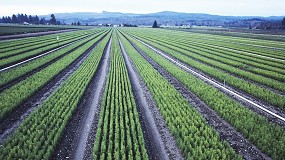 Foto de Planas informa al Gobierno de los cambios para mejorar la aplicacin de la PAC en Espaa