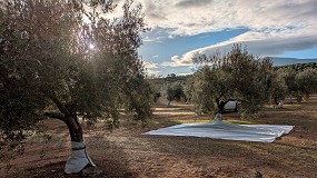 Desarrollan una malla andaluza que mejora la retencin del agua en el suelo y reduce el estrs hdrico del olivo