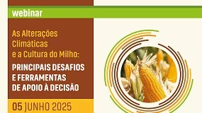 Foto de Seguro de Colheitas para o milho Gro e Silagem para a campanha 2025