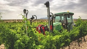 Foto de Poda eficiente, rentvel e com resultados agronmicos visveis