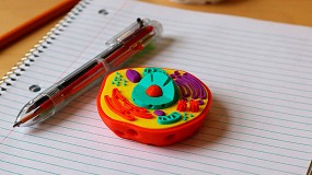 Asturias apuesta por la innovacin educativa