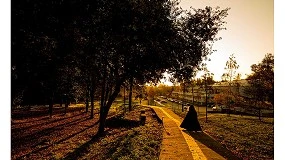 Foto de Universidade do Minho entre as 300 melhores do mundo em sustentabilidade