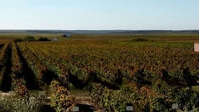 Foto de Biostasia demonstra produtos de resduo zero aplicado por drones