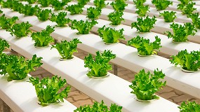 Foto de Jardinera sin tierra: la revolucin verde que se puede practicar en casa