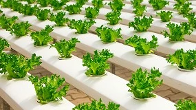 Foto de Jardinera sin tierra: la revolucin verde que se puede practicar en casa