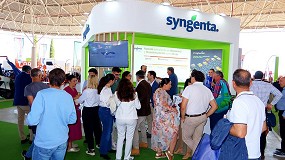 Foto de Syngenta avanza importantes novedades para el cultivo del olivo