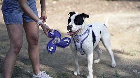 Foto de Licencias y mascotas: un vnculo emocional que se convierte en tendencia