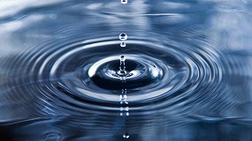 Foto de Water Twins conecta a grandes empresas con proyectos de regeneracin hdrica adaptados al territorio