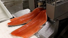 Fiabilidad comprobada: la solucin Marel de fileteado asequible que marca la diferencia