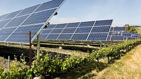 Foto de Intersolar Mexico celebró un seminario sobre la sinergia entre energía solar y producción agrícola sostenible