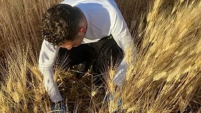 Foto de El proyecto SOILBIO concluye el análisis de 300 parcelas de cereal en distintas zonas de España