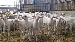 Foto de Mercado de Talavera de la Reina (Semana 27, 2/7/2025)