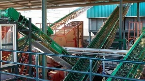 Foto de El Ministerio de Agricultura regulará la comercialización de aceite de oliva en el olivar tradicional