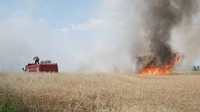 Foto de Cataluña prevé cambios "sustanciales" en la gestión forestal tras los incendios de Lleida