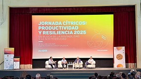 Foto de El sector citrcola explora estrategias de diferenciacin y cmo mejorar su productividad