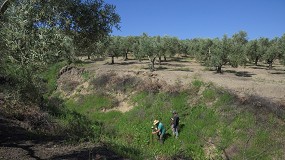 Foto de Da Internacional de la Conservacin del Suelo: un reto de primera magnitud para el futuro de la agricultura mundial