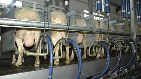 Foto de Piden aplicar los costes de producción para frenar la caída en ovino y caprino de leche