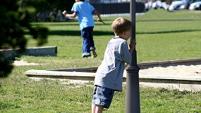 Foto de Diseo estructural y materiales no conductores para proteger a personas, operarios, animales y nios en el entorno urbano