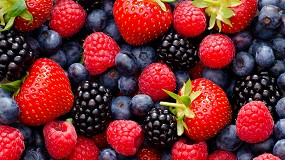Campaa positiva de berries aunque con menor rentabilidad