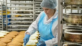 Foto de ISO 22000 y la lucha contra el desperdicio alimentario: ¿cómo puede ayudar al mantenimiento?
