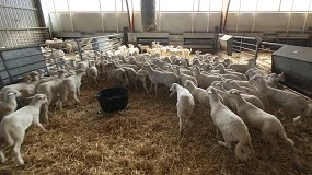 Foto de Castilla-La Mancha publica las bases de las ayudas para el lucro cesante por sacrificio