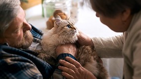 Foto de El 94% de los madrileos opta por la adopcin de animales frente la compra