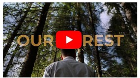 Wood-Mizer estrena un documental sobre silvicultura sostenible en Rumana