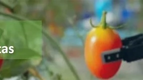 Foto de Automao e IA na Agricultura e Florestas